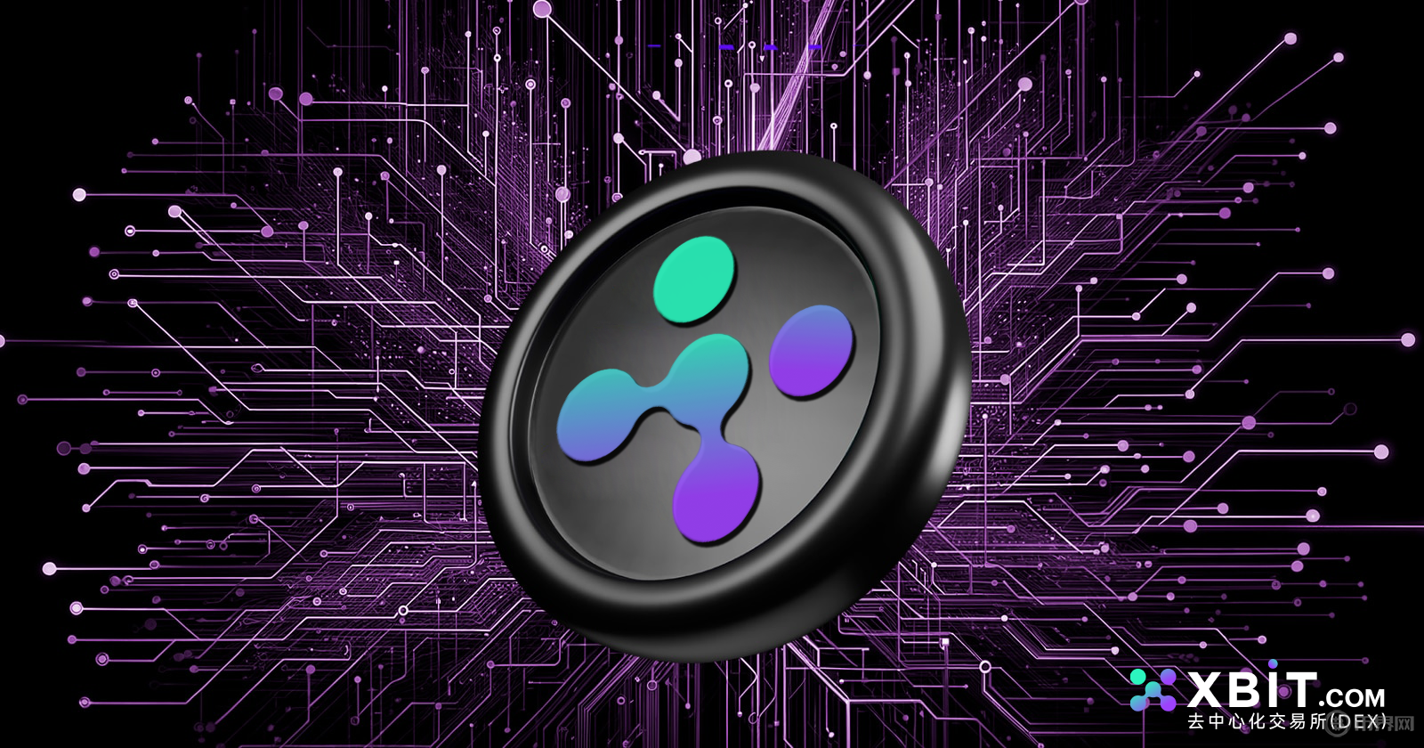 摩根士丹利秘密持倉曝光：DOGE占比超BTC，背后竟是馬斯克牽線？