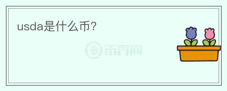 usda是什么幣？