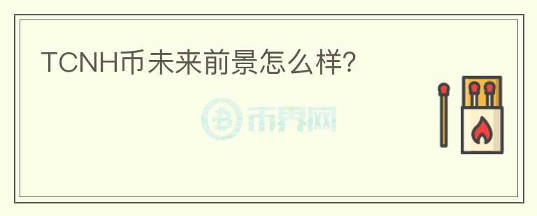 TCNH幣未來前景怎么樣？