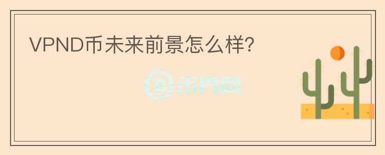 VPND幣未來前景怎么樣？