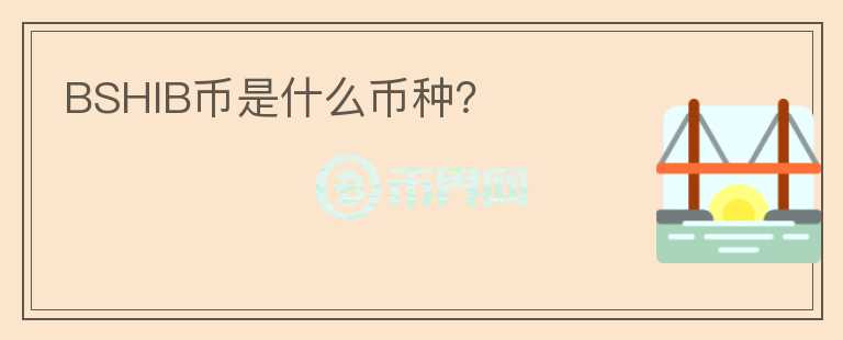 BSHIB幣是什么幣種？