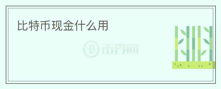比特幣現(xiàn)金什么用