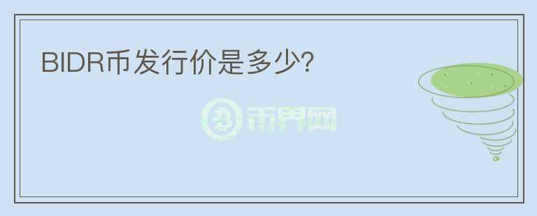 BIDR幣發(fā)行價是多少？