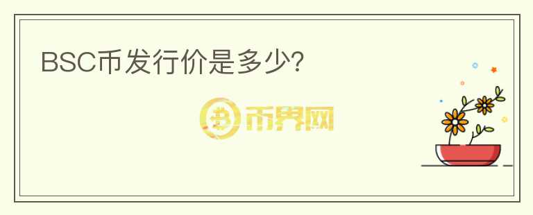 BSC幣發(fā)行價(jià)是多少？