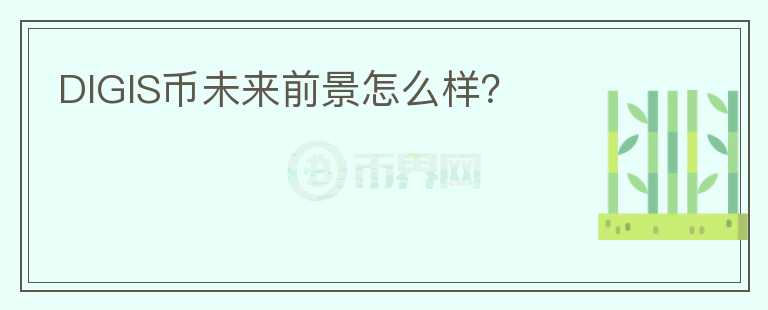 DIGIS幣未來前景怎么樣？