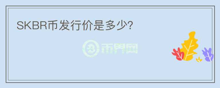 SKBR幣發(fā)行價是多少？