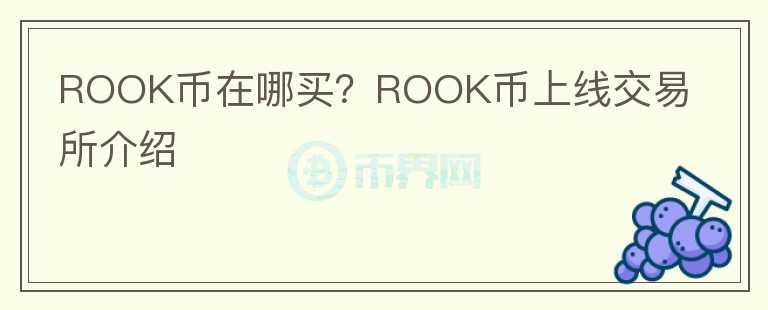 ROOK幣在哪買？ROOK幣上線交易所介紹