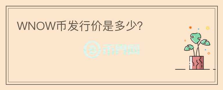 WNOW幣發(fā)行價是多少？