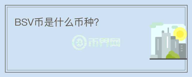 BSV幣是什么幣種？