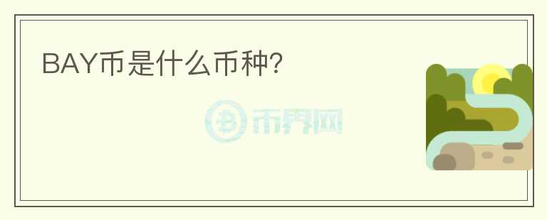 BAY幣是什么幣種？