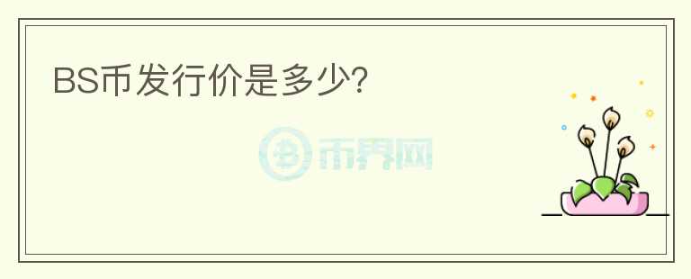 BS幣發(fā)行價(jià)是多少？