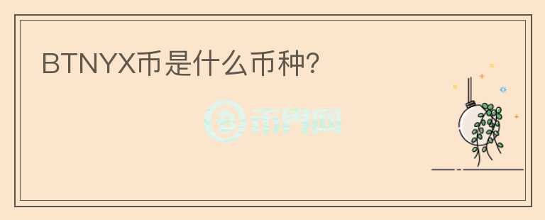 BTNYX幣是什么幣種？