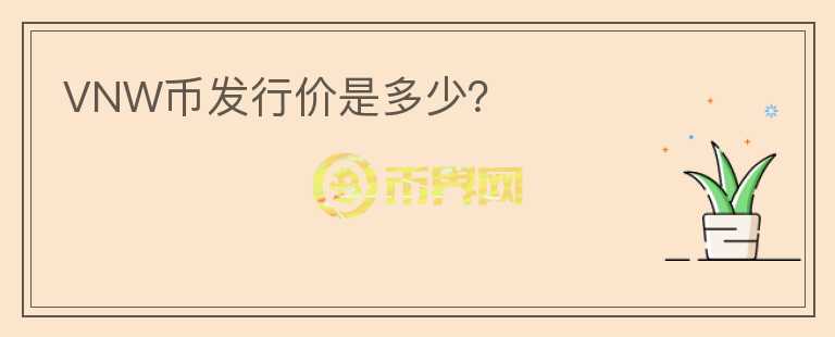 VNW幣發(fā)行價是多少？