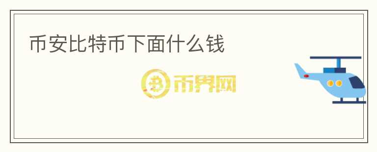 幣安比特幣下面什么錢(qián)