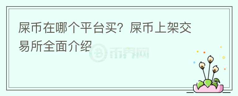 屎幣在哪個平臺買？屎幣上架交易所全面介紹