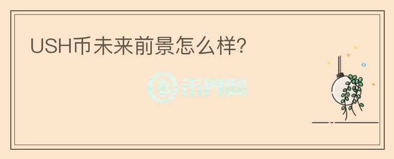 USH幣未來前景怎么樣？