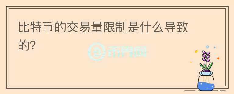 比特幣的交易量限制是什么導(dǎo)致的？