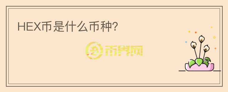 HEX幣是什么幣種？