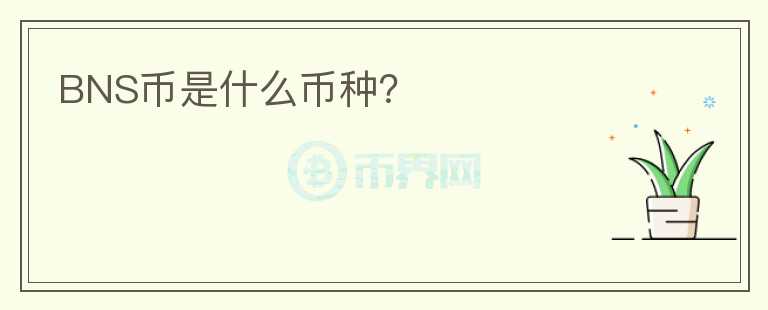 BNS幣是什么幣種？