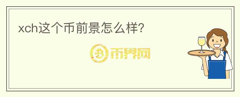 xch這個幣前景怎么樣？