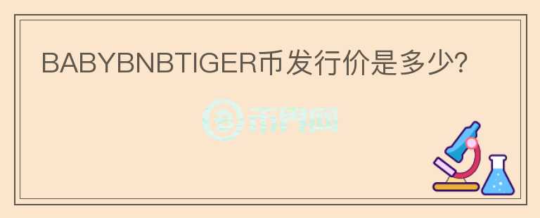 BABYBNBTIGER幣發(fā)行價是多少？