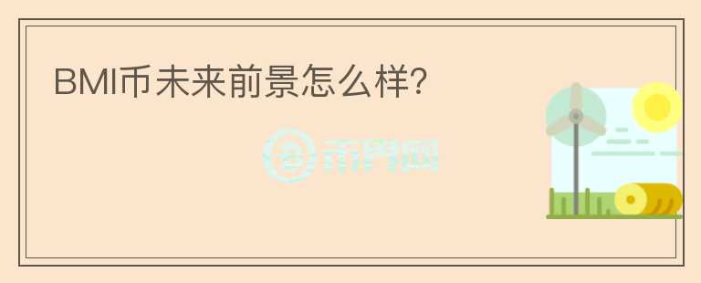 BMI幣未來前景怎么樣？