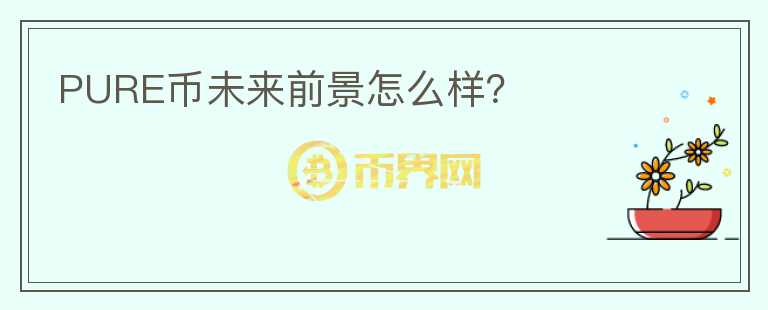 PURE幣未來前景怎么樣？