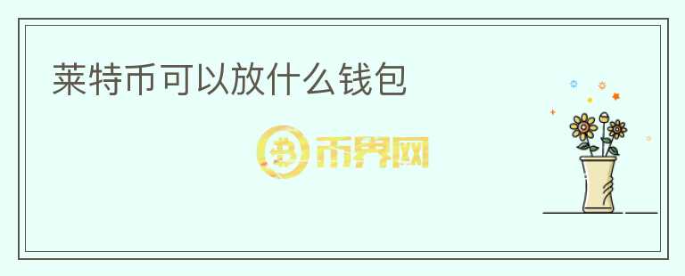 萊特幣可以放什么錢(qián)包