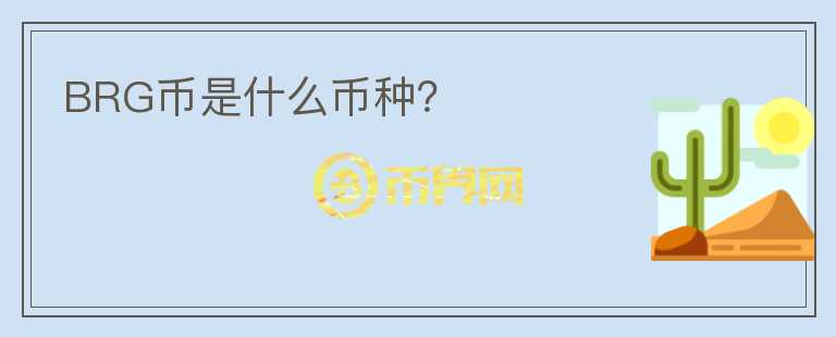 BRG幣是什么幣種？