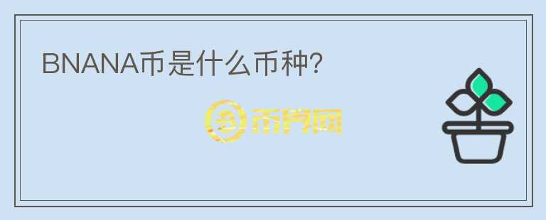 BNANA幣是什么幣種？