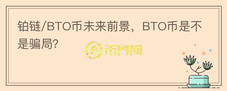 鉑鏈/BTO幣未來前景，BTO幣是不是騙局？