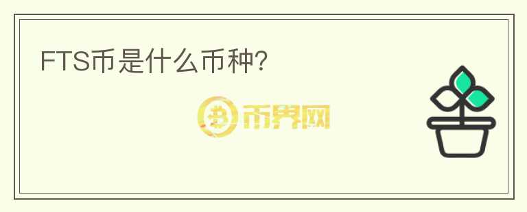 FTS幣是什么幣種？