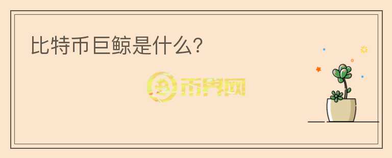 比特幣巨鯨是什么？