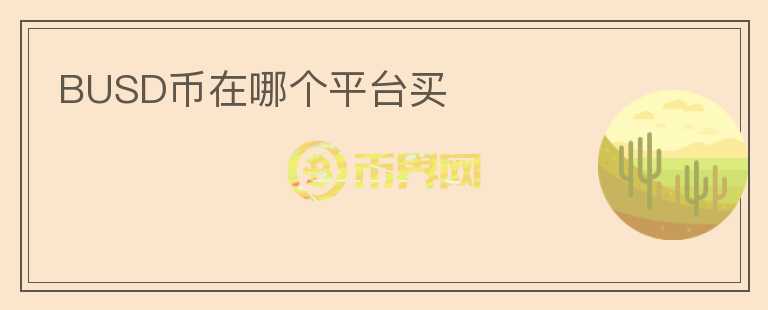 BUSD幣在哪個平臺買