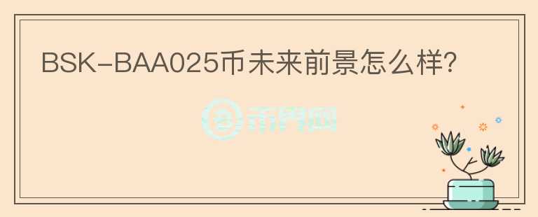 BSK-BAA025幣未來前景怎么樣？
