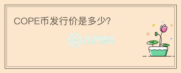 COPE幣發(fā)行價(jià)是多少？