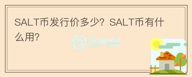 SALT幣發(fā)行價多少？SALT幣有什么用？