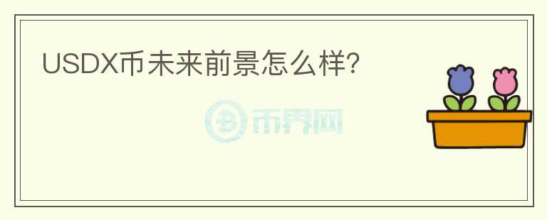 USDX幣未來(lái)前景怎么樣？