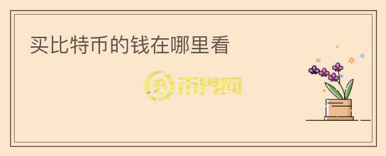 買比特幣的錢在哪里看