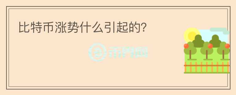 比特幣漲勢什么引起的？