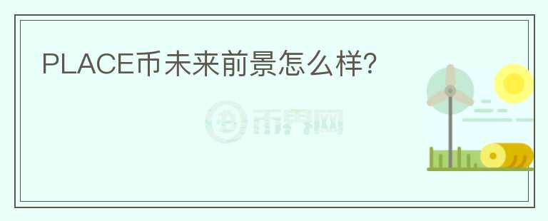 PLACE幣未來前景怎么樣？