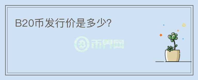 B20幣發(fā)行價是多少？