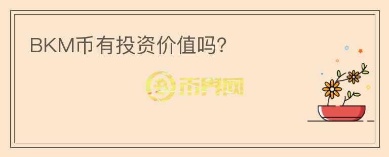 BKM幣有投資價值嗎？