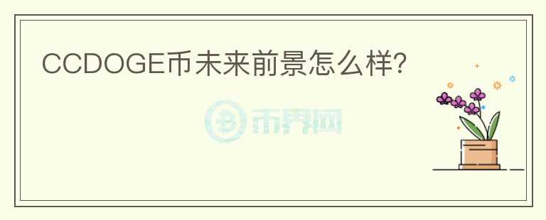 CCDOGE幣未來前景怎么樣？
