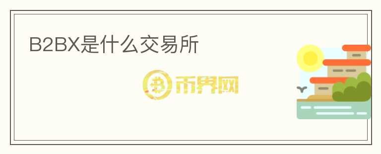 B2BX是什么交易所