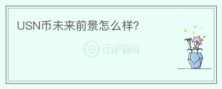 USN幣未來前景怎么樣？