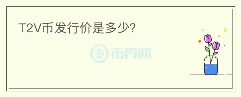 T2V幣發(fā)行價是多少？
