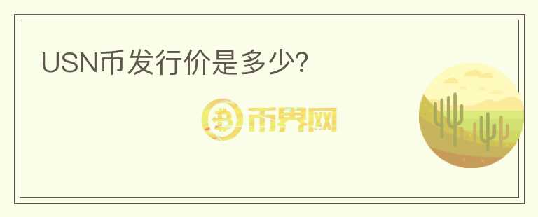 USN幣發(fā)行價是多少？