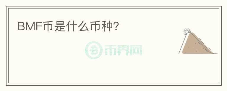 BMF幣是什么幣種？