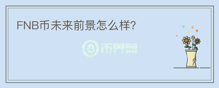 FNB幣未來前景怎么樣？